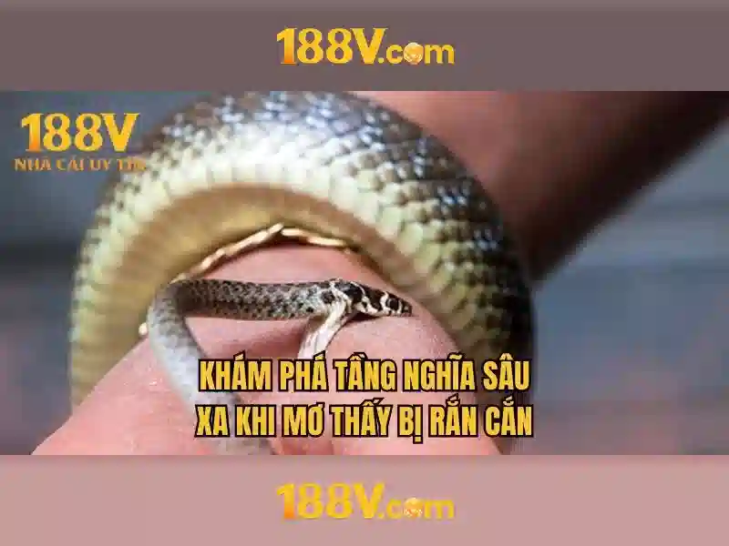 Khái niệm 188v và ứng dụng trong công nghệ Giao diện nhà cái hoàn hảo
