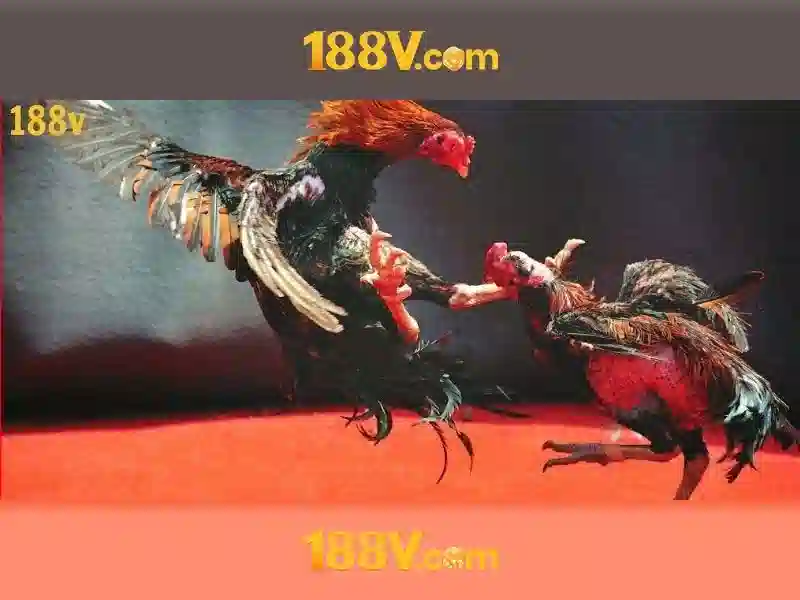 Giới thiệu về 188v