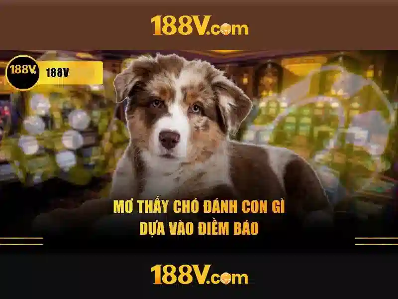 188V: Hiểu về điện áp 188V và ứng dụng Giao diện nhà cái hoàn hảo