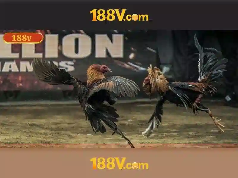 188v - một khái niệm công nghệ và cảm biến Giao diện nhà cái hoàn hảo