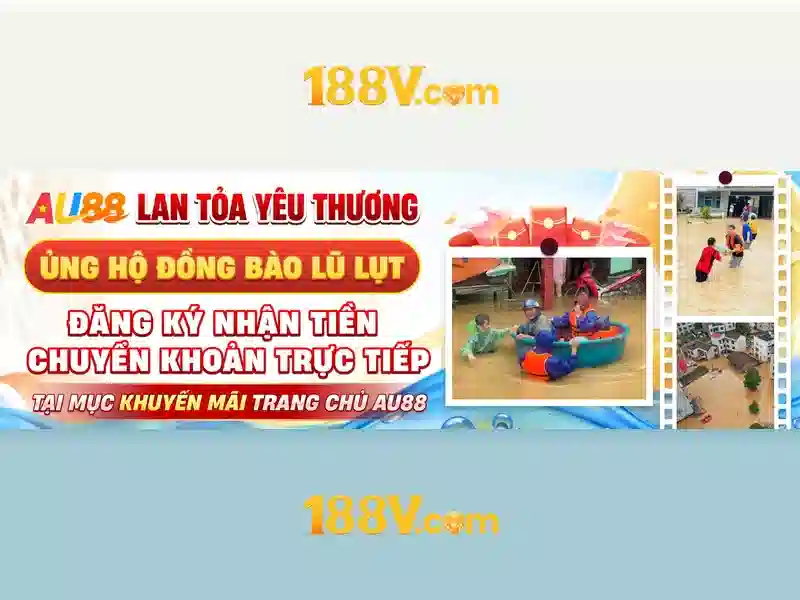 Kết luận và tiềm năng