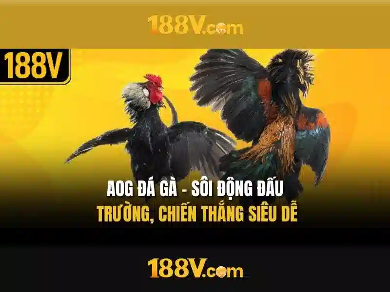 Khám phá 188v