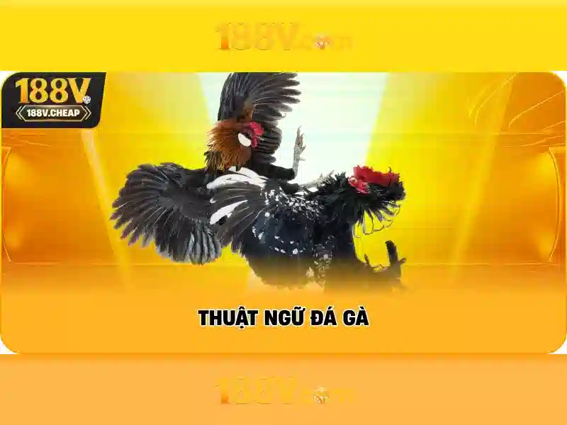 Tương lai của 188v