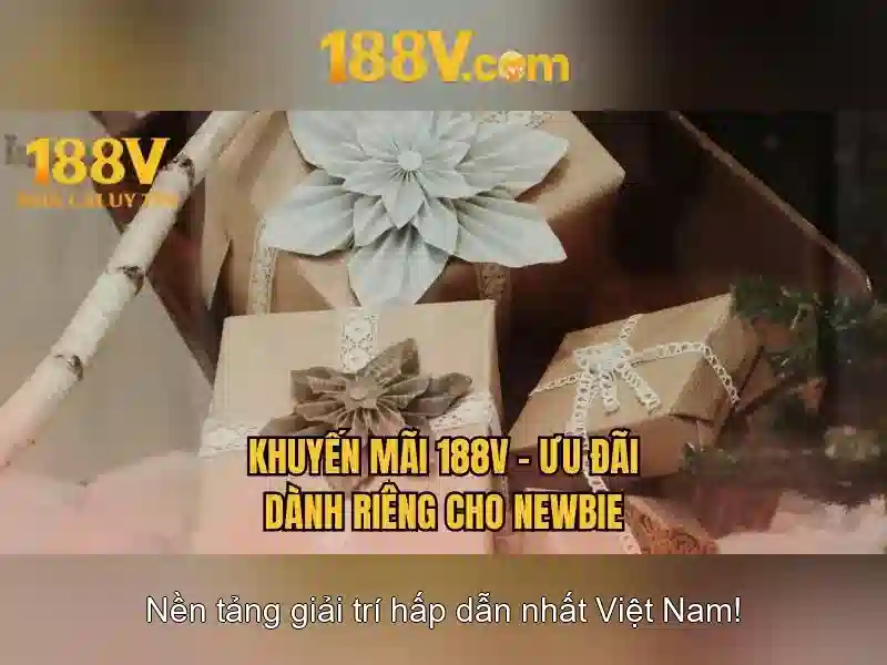 Dieu_Khoan_Dieu_Kien_Intro