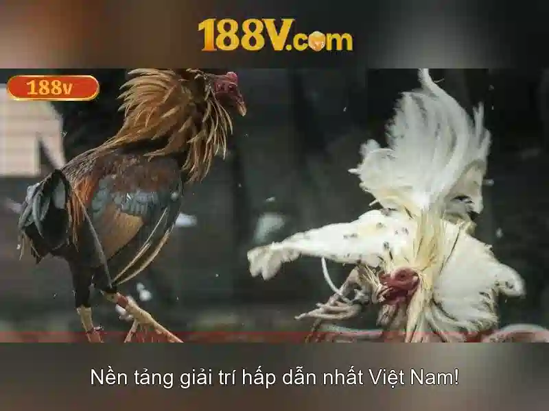 Khía cạnh toán học và công nghệ