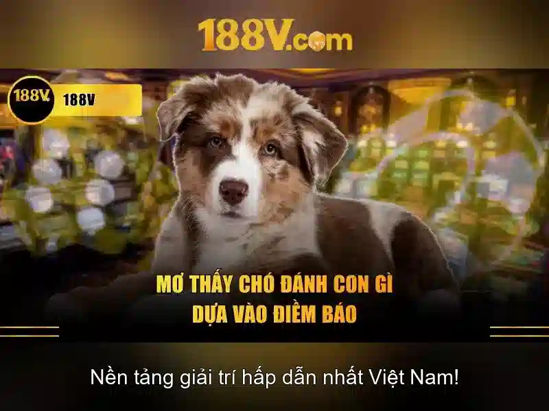 Nguồn gốc và ý nghĩa của số 188V