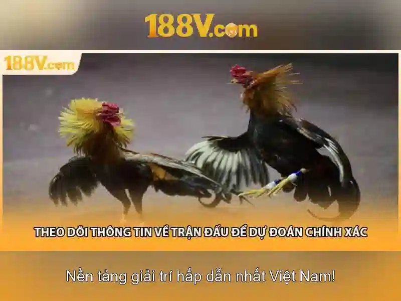 Ý nghĩa của 188v trong đời sống kỹ thuật số