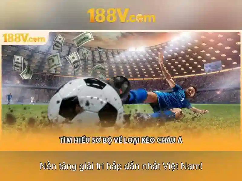 Thiết kế và giao diện người dùng