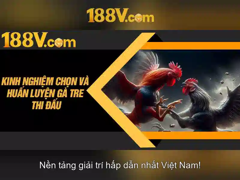 Nguồn gốc và ý nghĩa của 188v