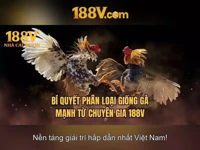 Tương lai của 188v và con người
