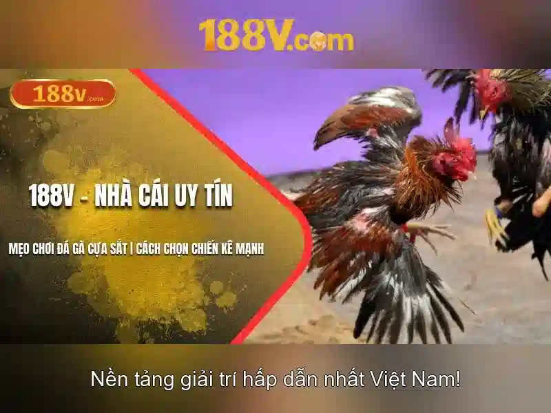 Khởi nguồn và bối cảnh
