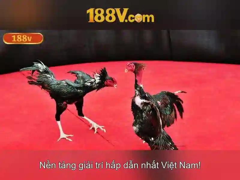 Khám phá điện áp 188V và các ứng dụng của nó Giao diện nhà cái hoàn hảo
