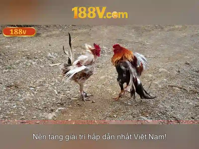 Các ứng dụng chính của 188v