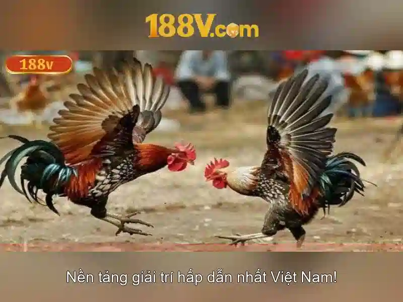 188v: khái niệm, ứng dụng và ý nghĩa trong nghệ thuật và thiết kế Giao diện nhà cái hoàn hảo