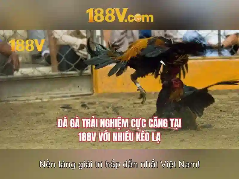 Giới thiệu về 188V