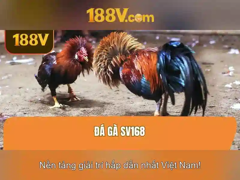 Giao diện nhà cái hoàn hảo