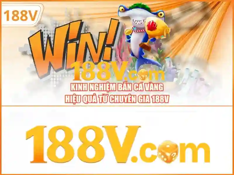 Ứng dụng trong công nghệ và dữ liệu