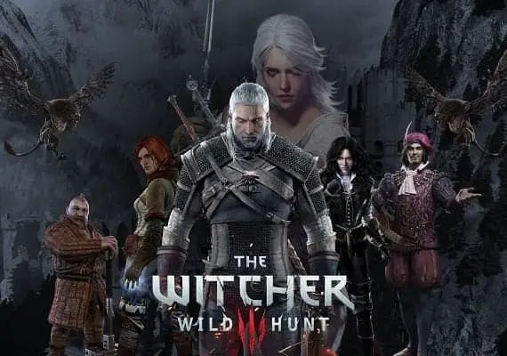 The witcher game