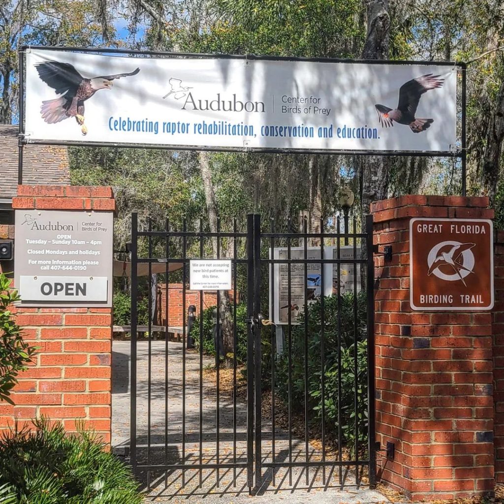 The Audubon Center for Birds of Prey