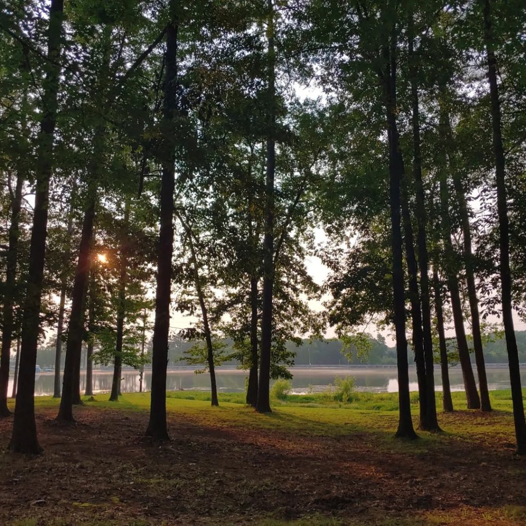 Sportsman Lake Park - Things to do in Cullman, AL