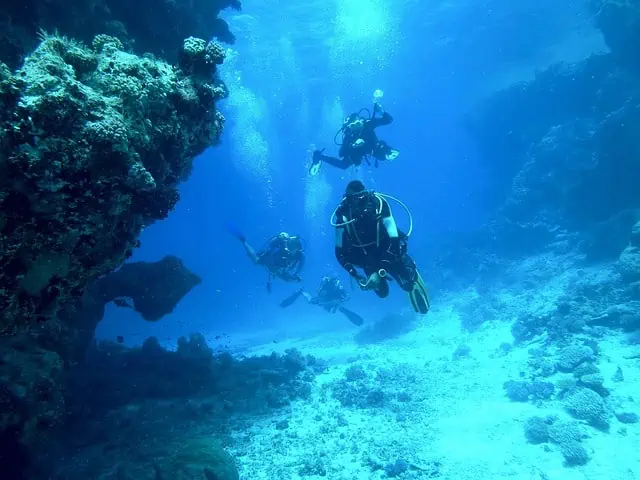Two scuba divers in costa rica sea